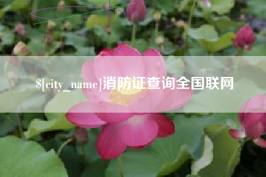 湖南消防证查询全国联网