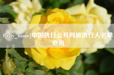 湖南中国执行公开网被执行人名单查询