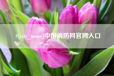 湖南中国消防网官网入口