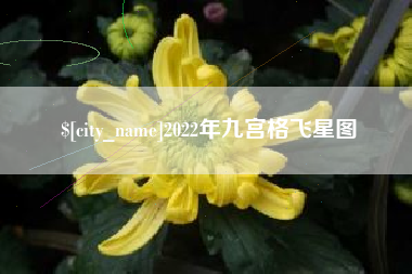 湖南2022年九宫格飞星图