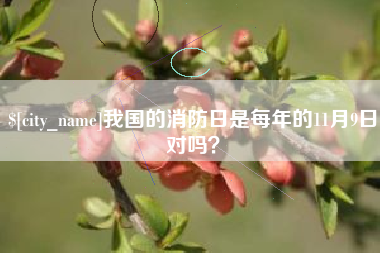 湖南我国的消防日是每年的11月9日对吗？
