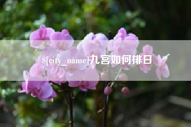 湖南九宫如何排日
