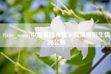 湖南中国消防救援学院湖南招生情况公布