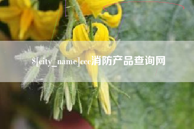 湖南ccc消防产品查询网