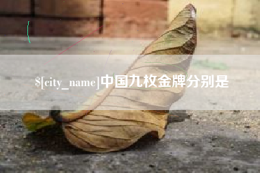 湖南中国九枚金牌分别是