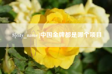 湖南中国金牌都是哪个项目