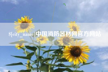 湖南中国消防器材网官方网站