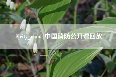 湖南中国消防公开课回放