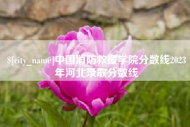 湖南中国消防救援学院分数线2023年河北录取分数线
