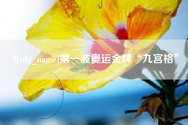 湖南第一波奥运金牌“九宫格”