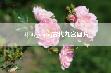 湖南古代九宫图片