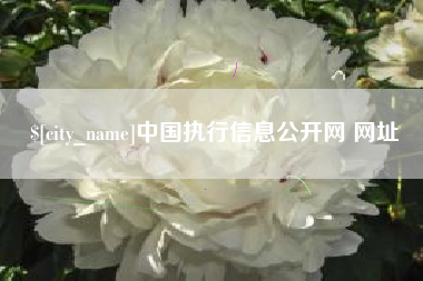 湖南中国执行信息公开网 网址