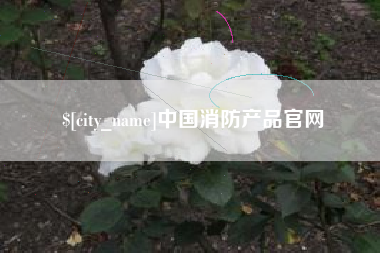 湖南中国消防产品官网