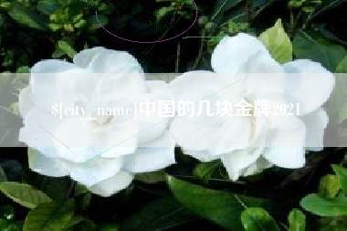 湖南中国的几块金牌2021