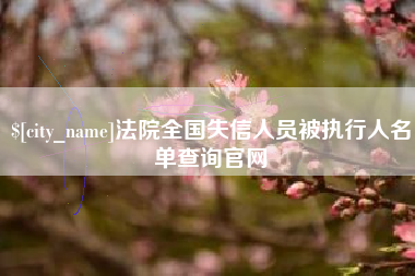 湖南法院全国失信人员被执行人名单查询官网