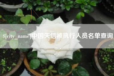 湖南中国失信被执行人员名单查询