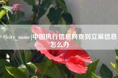 湖南中国执行信息网查到立案信息怎么办