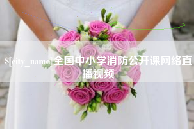 湖南全国中小学消防公开课网络直播视频
