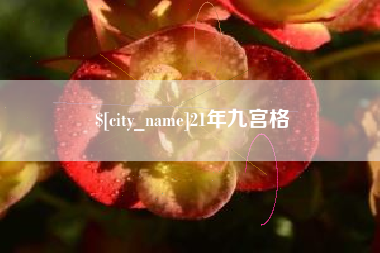 湖南21年九宫格