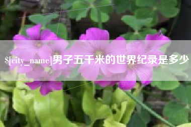 湖南男子五千米的世界纪录是多少