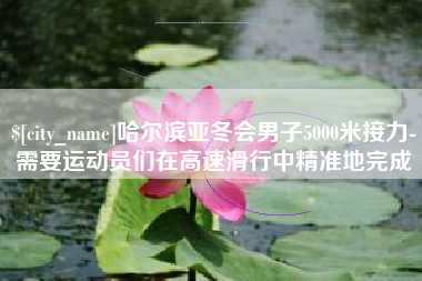 湖南哈尔滨亚冬会男子5000米接力-需要运动员们在高速滑行中精准地完成