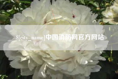 湖南中国消防网官方网站
