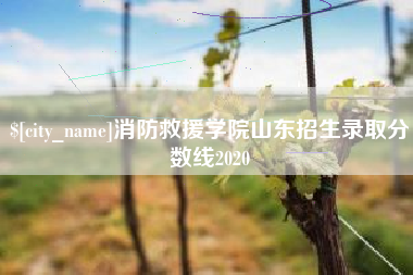 湖南消防救援学院山东招生录取分数线2020