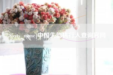 湖南中国失信执行人查询官网
