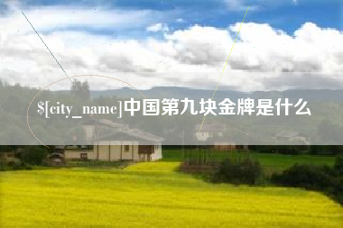 湖南中国第九块金牌是什么