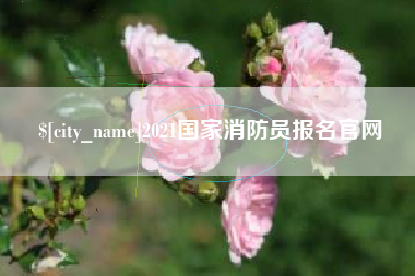 湖南2021国家消防员报名官网