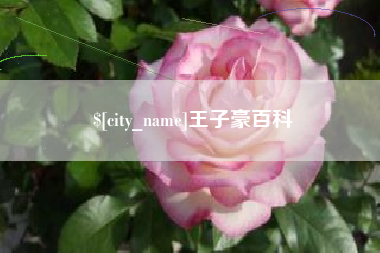 湖南王子豪百科