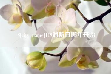 湖南119消防日哪年开始