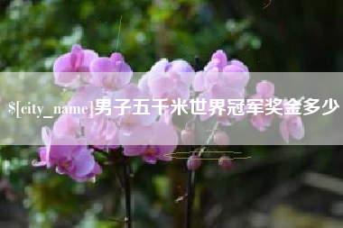 湖南男子五千米世界冠军奖金多少
