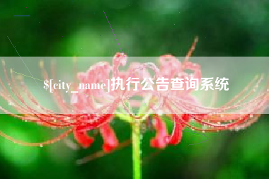 湖南执行公告查询系统