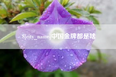 湖南中国金牌都是啥