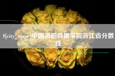 湖南中国消防救援学院浙江省分数线