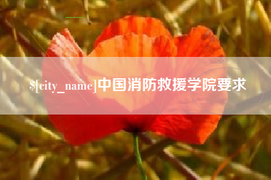 湖南中国消防救援学院要求