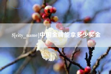 湖南中国金牌能拿多少奖金