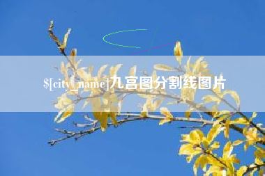 湖南九宫图分割线图片
