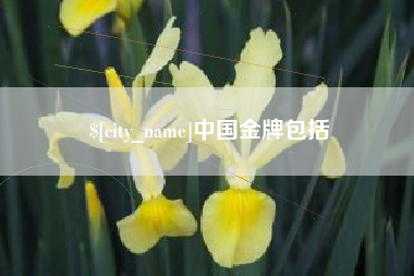 湖南中国金牌包括