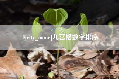 湖南九宫格数字排序