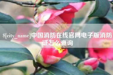 湖南中国消防在线官网电子版消防证怎么查询