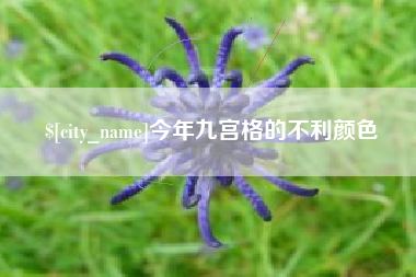 湖南今年九宫格的不利颜色
