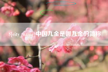 湖南中国九金是哪九金的简称