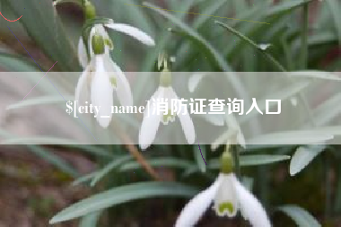 湖南消防证查询入口