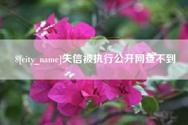 湖南失信被执行公开网查不到