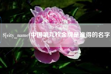 湖南中国第九枚金牌是谁得的名字