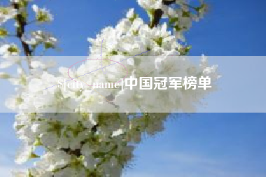 湖南中国冠军榜单
