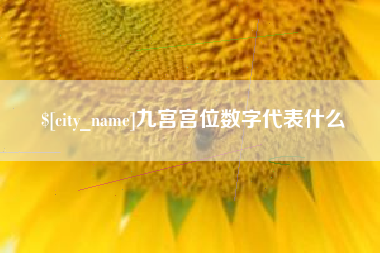 湖南九宫宫位数字代表什么