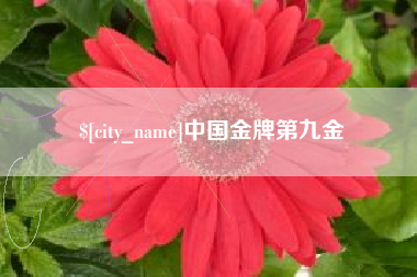 湖南中国金牌第九金